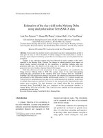 Estimation of the rice yield in the Mekong Delta using dual polarisation TerraSAR X data