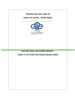 bài tập định giá tổng hợp công ty cổ phần tập đoàn masan (msn) 