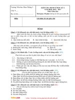 de thi hoc ki 1 lop 4 mon khoa hoc truong tieu hoc ham thang nam 2016