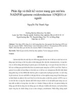 DSpace at VNU: Phân lập và thiết kế vector mang gen mã hóa NAD(P)H quinone oxidoreductase 1(NQO1) ở người