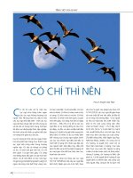 243 p44   p45  Co chi thi nen    PGS.TS Pham Van Tinh