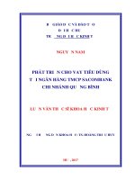 Phát triển cho vay tiêu dùng tại ngân hàng thương mại cổ phần sacombank chi nhánh quảng bình 