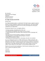 Mẫu đơn xin việc bằng Tiếng Anh ngành TIẾP VIÊN HÀNG KHÔNG