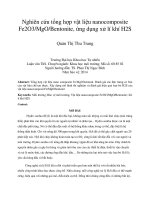DSpace at VNU: Nghiên cứu tổng hợp vật liệu nanocomposite Fe2O3 MgO Bentonite, ứng dụng xử lí khí H2S