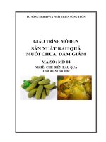 GIÁO TRÌNH MÔ ĐUN SẢN XUẤT RAU QUẢ MUỐI CHUA, DẦM GIẤM
