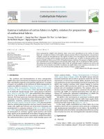 DSpace at VNU: Gamma irradiation of cotton fabrics in AgNO3 solution for preparation of antibacterial fabrics