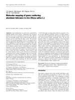 DSpace at VNU: Molecular mapping of genes conferring aluminum tolerance in rice (Oryza sativa L.)