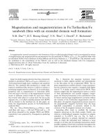 DSpace at VNU: Magnetisation and magnetostriction in Fe Terfecohan Fe sandwich films withan extended domain wall formation