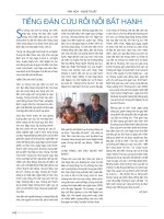 246p60 Tieng dan cuu roi noi bat hanh   Ho Duy