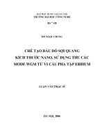 DSpace at VNU: Chế tạo đầu dò sợi quang kích thước nano, sử dụng thu các mode WGM từ các vi cầu pha tạp erbium
