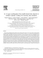 DSpace at VNU: Ar-Ar ages in phlogopites from marble-hosted ruby deposits in northern Vietnam: evidence for Cenozoic ruby fon-nation