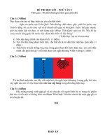 ĐỀ THI HỌC KÌ I NGỮ VĂN 9