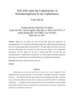 DSpace at VNU: Tách chiết, phân lập Cephalotaxine và Homoharringtonine từ cây Cephalotaxus