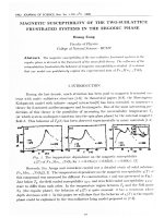 DSpace at VNU: Magnetic Susceptibility of the Two - Sublattice Frustrated Systems in the Ergodic Phase