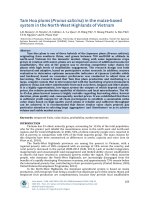 Tarn Hoa plums (Prunus salicina) in the maize based system in the north west highlands of Vietnam