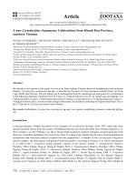 DSpace at VNU: A new Cyrtodactylus (Squamata: Gekkonidae) from Phu Yen Province, southern Vietnam