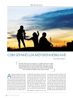 245 p52 p53 Com soi nho lua mot doi khong khe    PGS.TS Pham Van Tinh