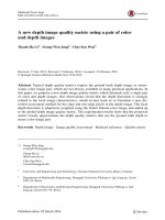 A new depth image quality metric using a pair of color and depth images