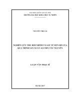 DSpace at VNU: Nghiên cứu thu hồi nhôm và sắt từ bùn đỏ của quá trình sản xuất alumin Tây Nguyên
