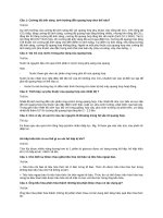 Bài tập sách giáo khoa Sinh học 11