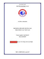 HỢP ĐỒNG MÔI GIỚI THƯƠNG MẠI THEO PHÁP LUẬT VIỆT NAM (LV THẠC SĨ)