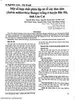 DSpace at VNU: Một số hợp chất phân lập từ rễ cây đan sâm (Salvia miltiorrhiza Bunge) trồng ở huyện Bắc Hà, tỉnh Lào Cai