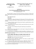 GDTH Ke hoach to chuc hoi thi CBQL gioi cap tieu hoc la thu nhat nam hoc 2012 2013