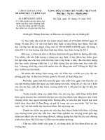 GDTH V v chan chinh viec day them hoc them day hoc truoc chuong trinh va day hoc nang cao doi voi giao duc mam non va giao duc tieu hoc