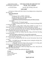 VPS Moi du Le Tuyen duong Khen thuong cho hoc sinh gioi nam hoc 2012 2013