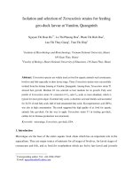 Isolation and selection of Tetraselmis strains for feeding geo