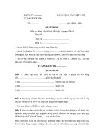 mau quyet dinh kiem tra dang vien khi co dau hieu vi pham