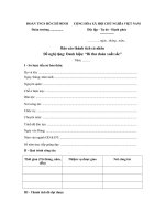 mau bao cao thanh tich ca nhan cua doan vien