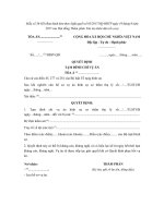 mau so 36 hs quyet dinh tam dinh chi vu an