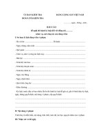 mau bao cao de nghi thi hanh ky luat dang vien