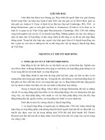 Tiểu luận Luật hợp đồng  Phân tích Lý thuyết hợp đồng