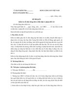 mau ke hoach kiem tra to chuc dang khi co dau hieu vi pham