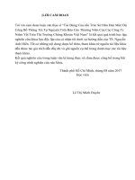 Tác động của cấu trúc sở hữu đen mức độ công bố thông tin tự nguyện trên báo cáo thường niên của các công ty niêm yết trên thị trường chứng khoán việt nam 