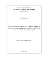 DSpace at VNU: Đặc điểm hình thái và phân tử của một số chủng tuyến trùng ký sinh gây bệnh côn trùng ở hệ sinh thái nông nghiệp Tây Nguyên