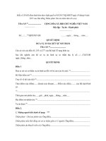 mau so 20 hs quyet dinh dua vu an ra xet xu so tham