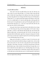 Nghiên cứu giải pháp nhằm đẩy mạnh việc xã hội hóa cung cấp nước sạch nông thôn (LV thạc sĩ)