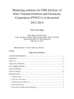 DSpace at VNU: Marketing solutions for NPK fertilizer of Petro Vietnam Fertilizer and Chemicals Corporation (PVFCCo) in the period 2012-2014