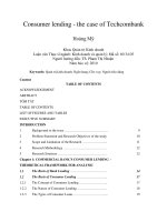 DSpace at VNU: Consumer lending - the case of Techcombank