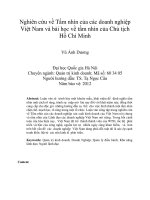 DSpace at VNU: Nghiên cứu về Tầm nhìn của các doanh nghiệp Việt Nam và bài học về tầm nhìn của Chủ tịch Hồ Chí Minh