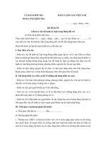 mau ke hoach kiem tra viec thi hanh ky luat trong dang