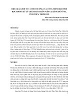 DSpace at VNU: HIỆU QUẢ KINH TẾ VÀ MÔI TRƯỜNG CỦA CÔNG TRÌNH KHÍ SINH HỌC TRONG XỬ LÝ CHẤT THẢI CHĂN NUÔI TẠI LÀNG BÚN Ô SA, TỈNH THỪA THIÊN HUẾ Tran Anh Tuan