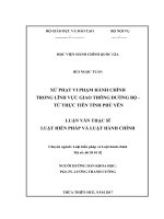 XỬ PHẠT VI PHẠM HÀNH CHÍNH TRONG LĨNH VỰC GIAO THÔNG ĐƯỜNG BỘ  TỪ THỰC TIỄN TỈNH PHÚ YÊN (LV thạc sĩ)