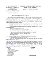 KHTC: V v báo cáo tình hình thực hiện Đề án Quy hoạch và thiết bị dạy học lớp mầm non 5 tuổi