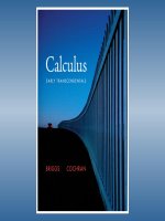 Caculus early transcendentals by briggs cochran chapter 06 