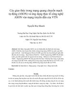 DSpace at VNU: Các giao thức trong mạng quang chuyển mạch tự động (ASON) và ứng dụng thực tế công nghệ ASON vào mạng truyền dẫn của VTN