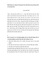 DSpace at VNU: định hướng xây dựng nội dung giáo dục phổ thông trong chương trình cải cách giáo dục